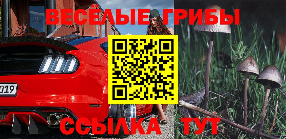 Отрадное  Псилоцибиновые грибы GOLDEN TEACHER  Вход с VPN 